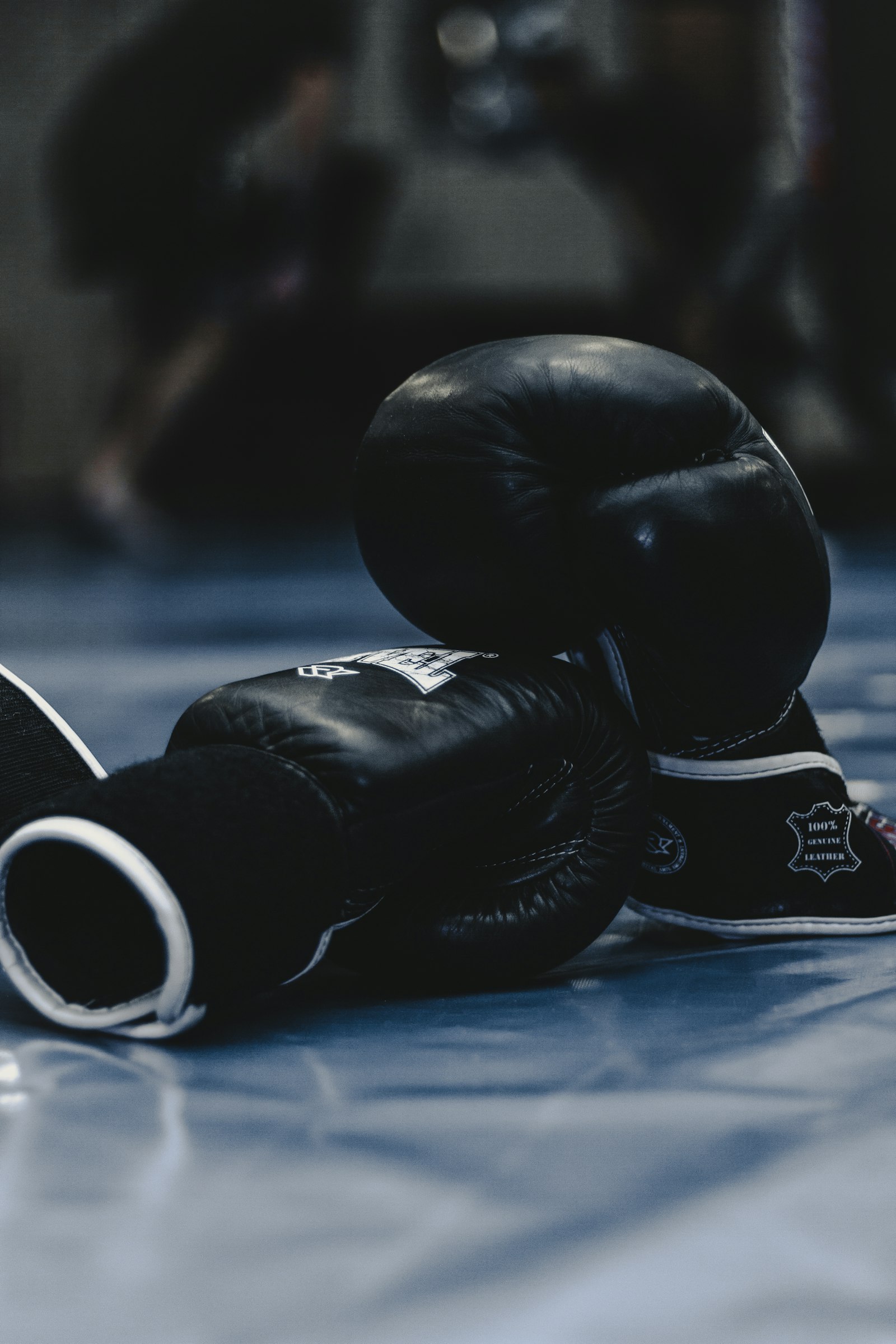 A pair of worn boxing gloves resting on the canvas
